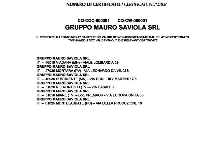 FSC certificate - page 2